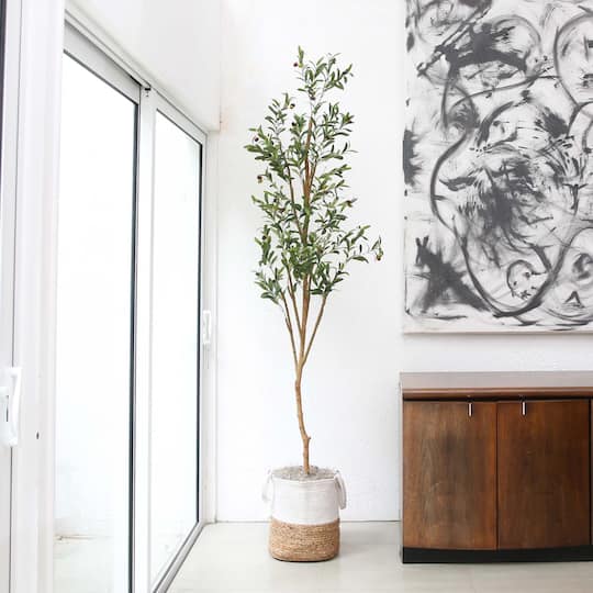 7ft. Olive Tree with Natural Trunk in Handmade Jute Basket